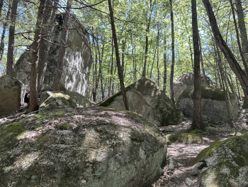 large boulders in the woods