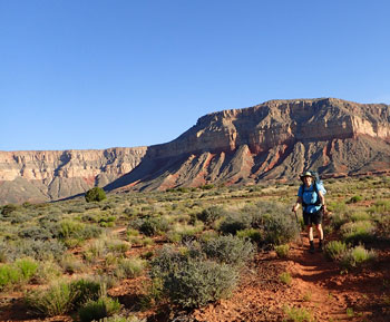 woman in the canyon