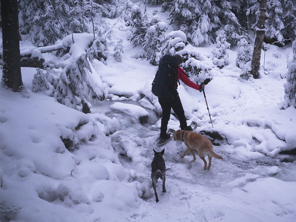 hiker and two dogs crossing frozen stream