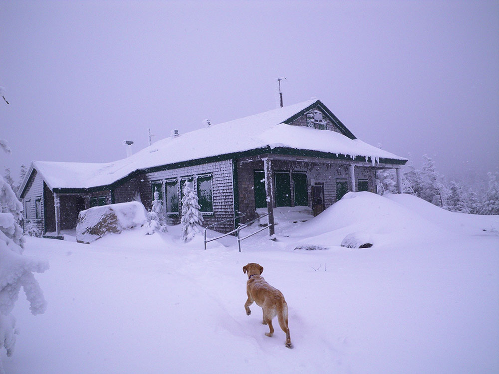 Galehead Hut lab in front of Galehead Hut in snowstorm