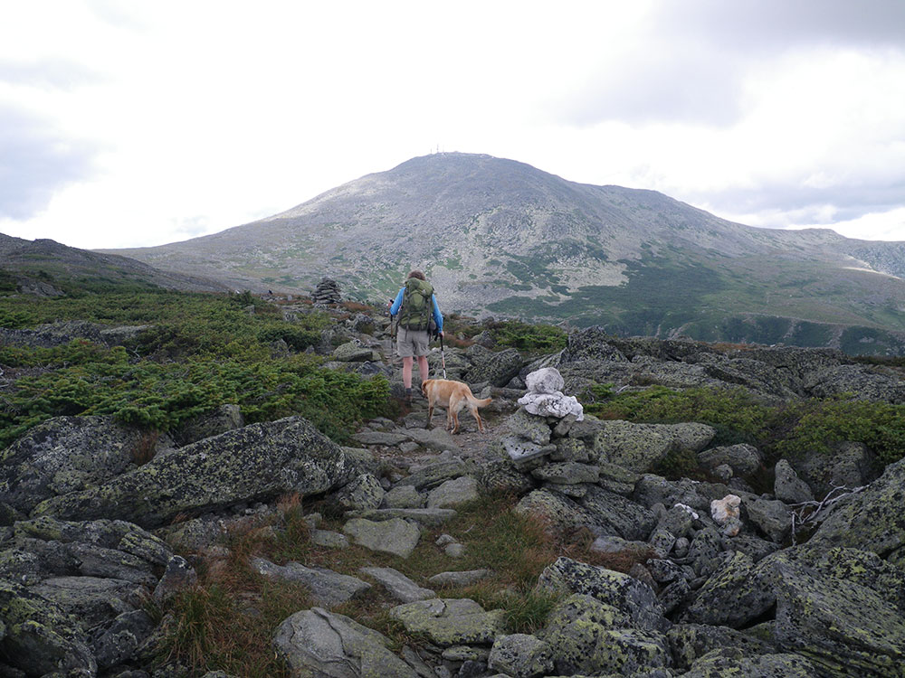 looking toward Mt. Washington