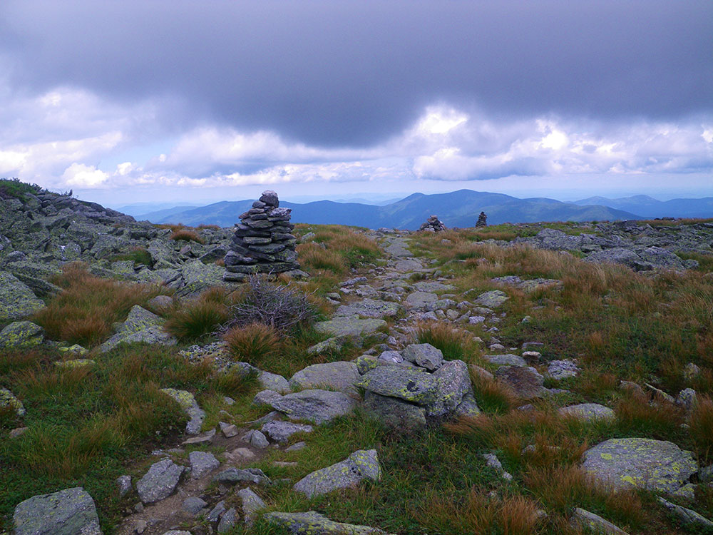 cloudy sky threatening above tree line