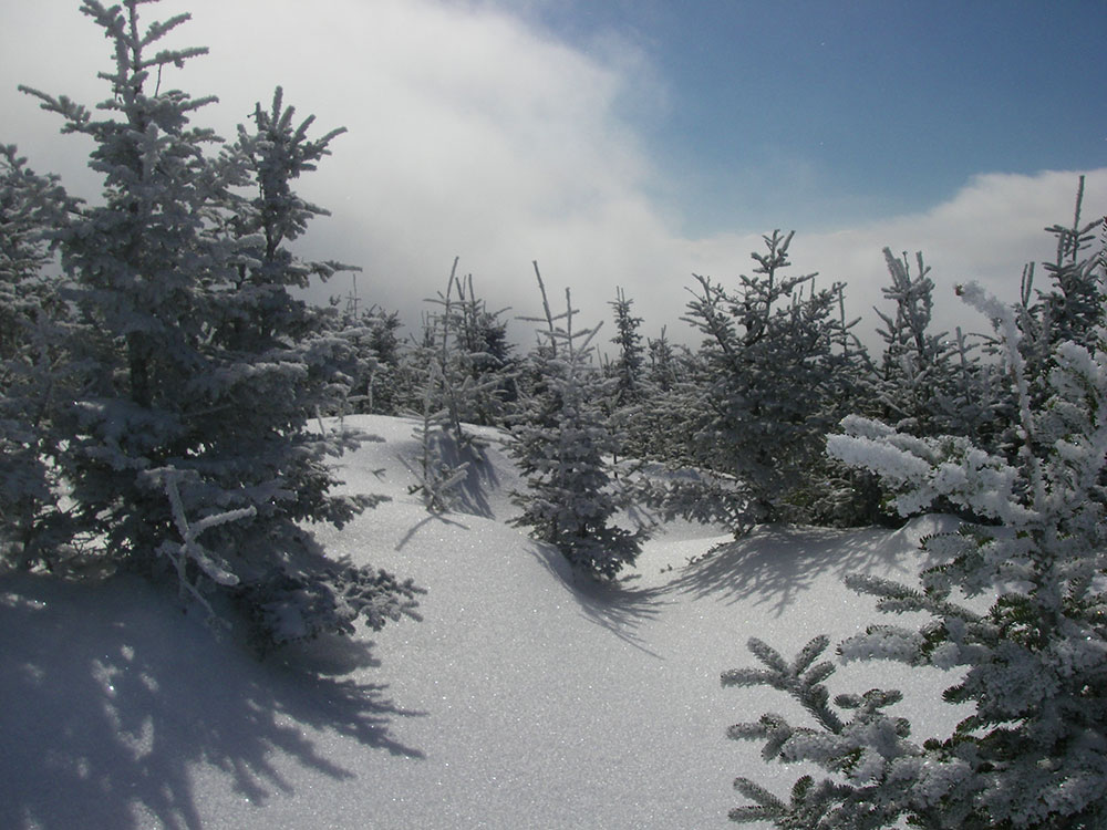 view of snowy trail above tree line