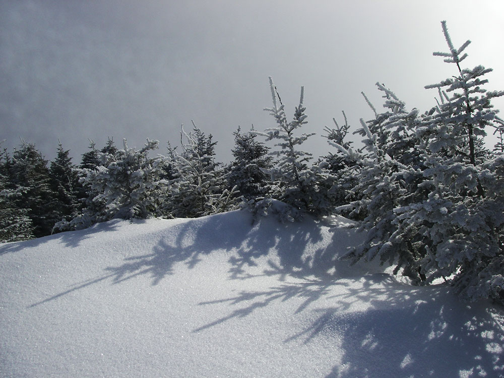 view of snowy trail above tree line