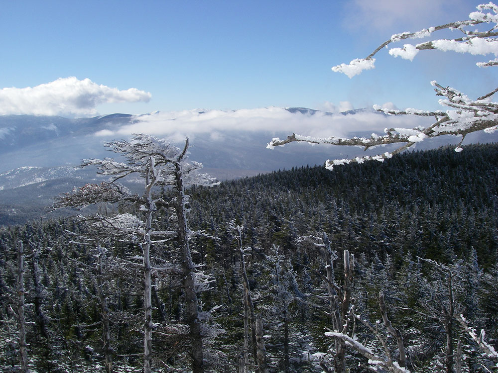 view from Mt. Tom in White Mountains