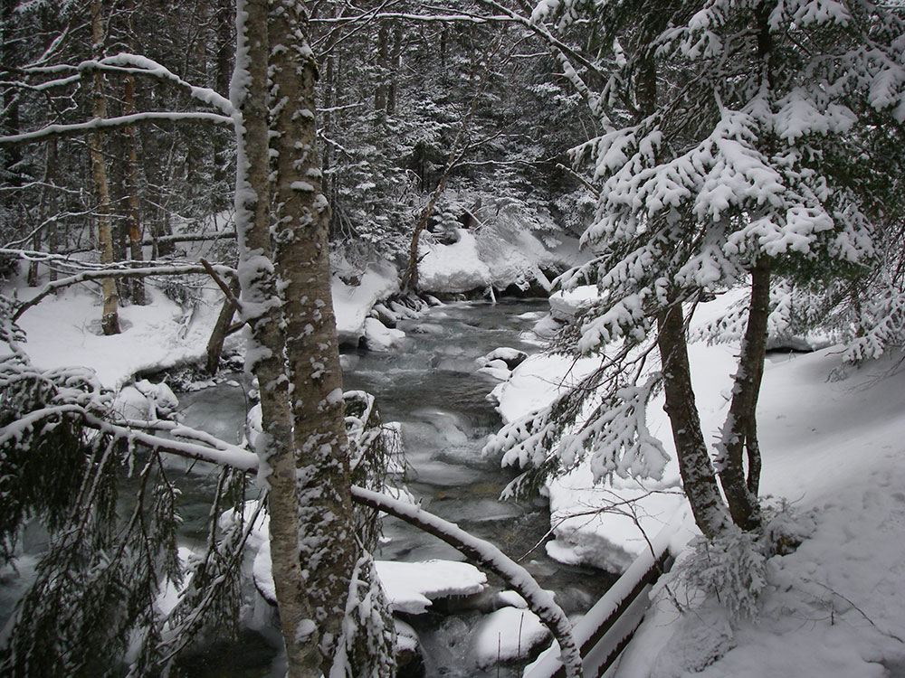 view of stream in winter