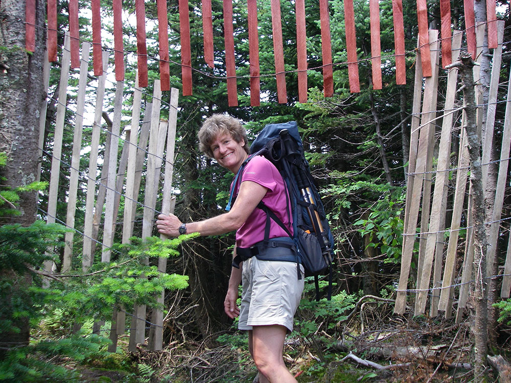 hiker traveling under snow fence