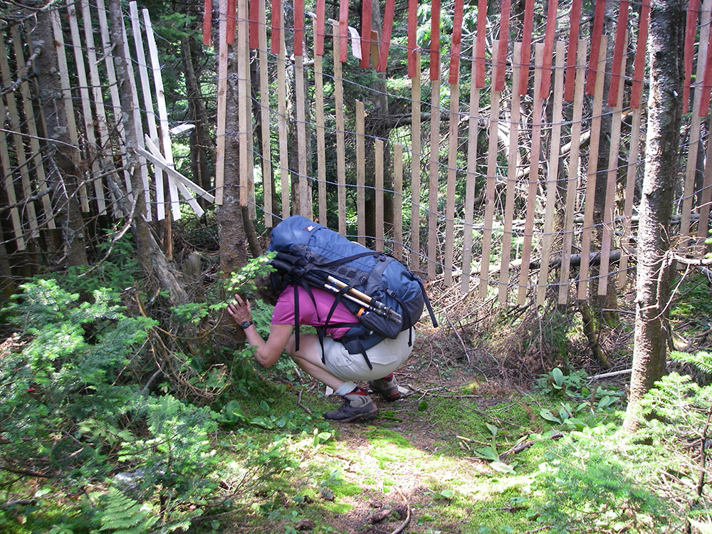 hiker skooching under snow fence