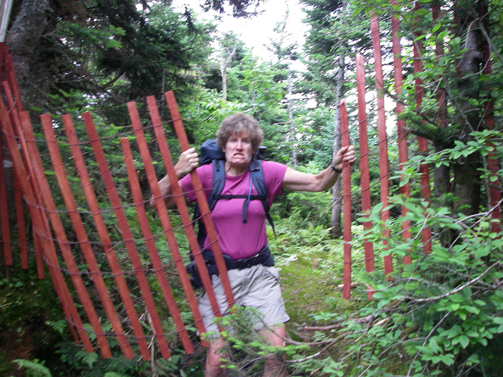 hiker showing anger at snow fence
