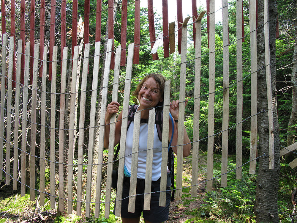hiker looking through snow fence