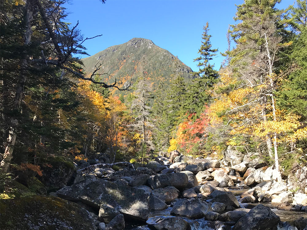 fall colors with mountain in center and stream flowing below