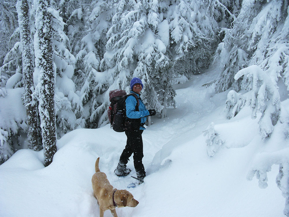 Galehead Trail hiker and lab on Galehead Trail in winter