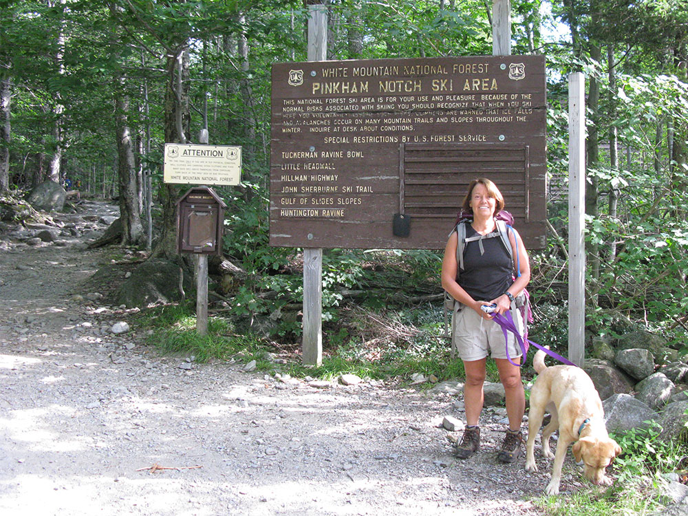hiker and dog on leash at trailhead