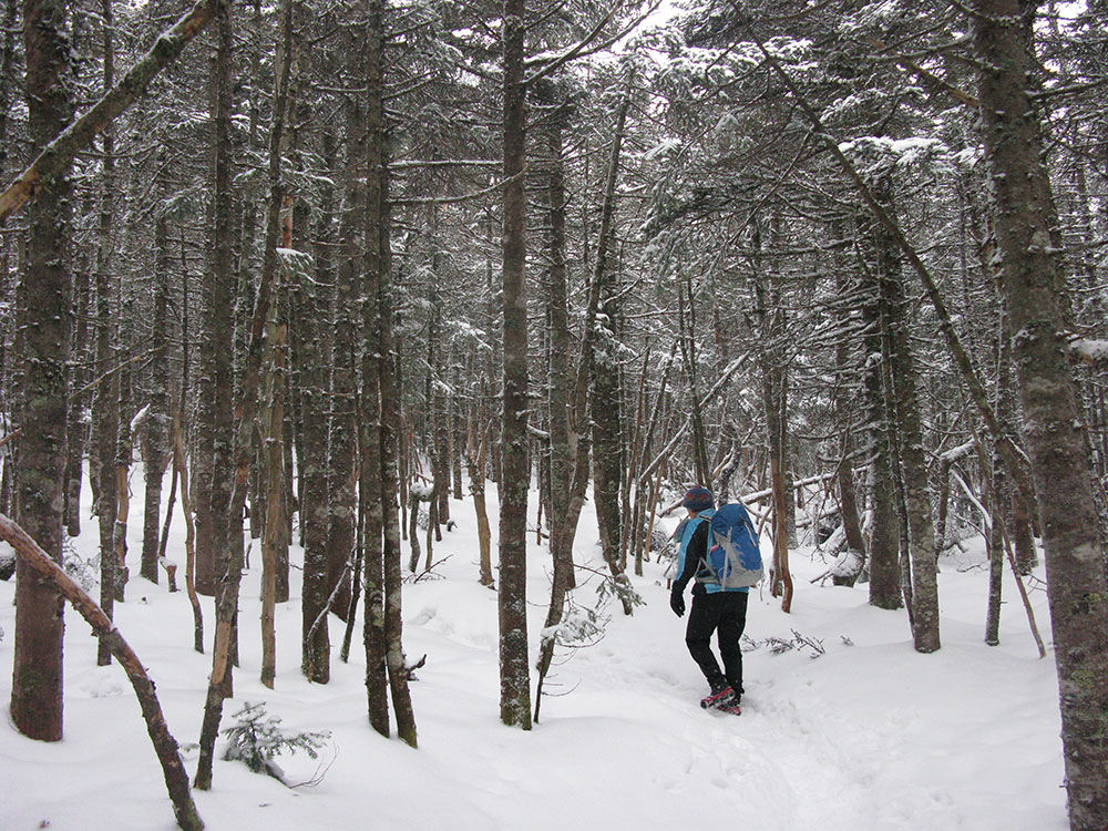 hiker walking in a bare forest with light snow on the ground