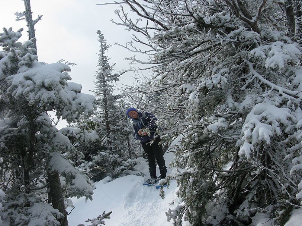 hiker on snowy trail