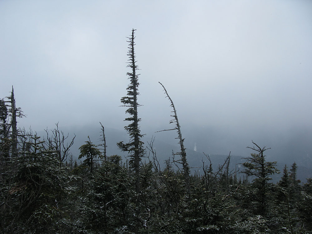 fog and clouds, no views