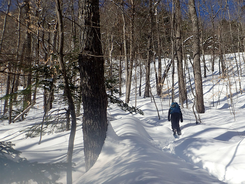 Nancy Breaking Trail Hiker breaking trail with snowshoes