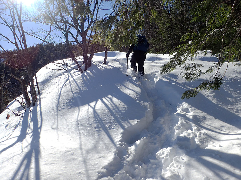 Snowy Trail snowy trail on top of the ledges