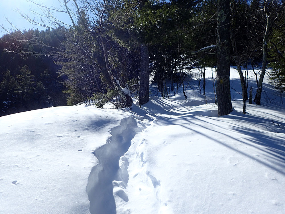 Unbroken Trail deep, unbroken snow on the trail