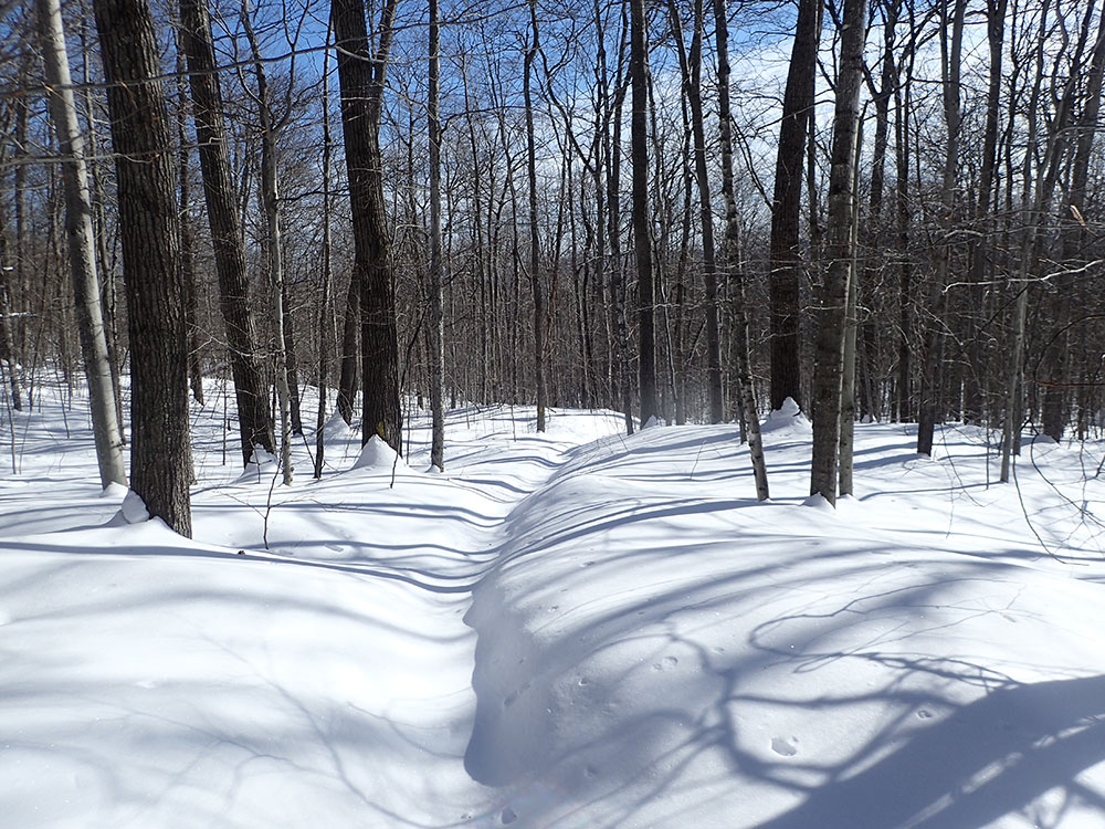 Unbroken Trail more unbroken snow-covered trail in winter