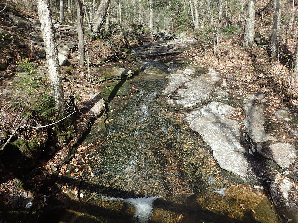 water flowing down a trail