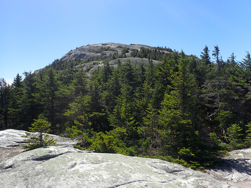 view of Mt Orange from Mt Cardigan