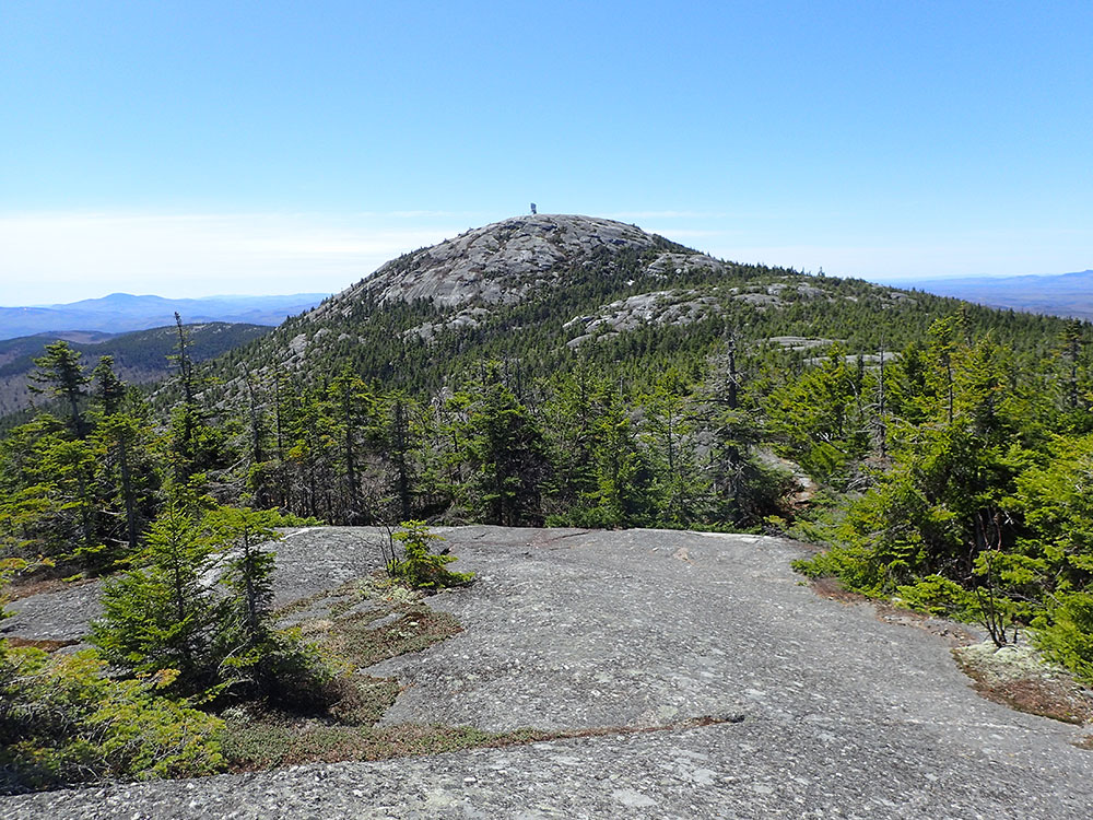 looking back toward the fire tower on Mt Cardigan, NH