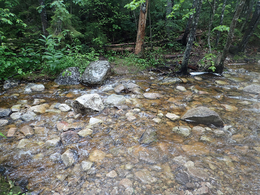Stream Crossing stream crossing on the trail