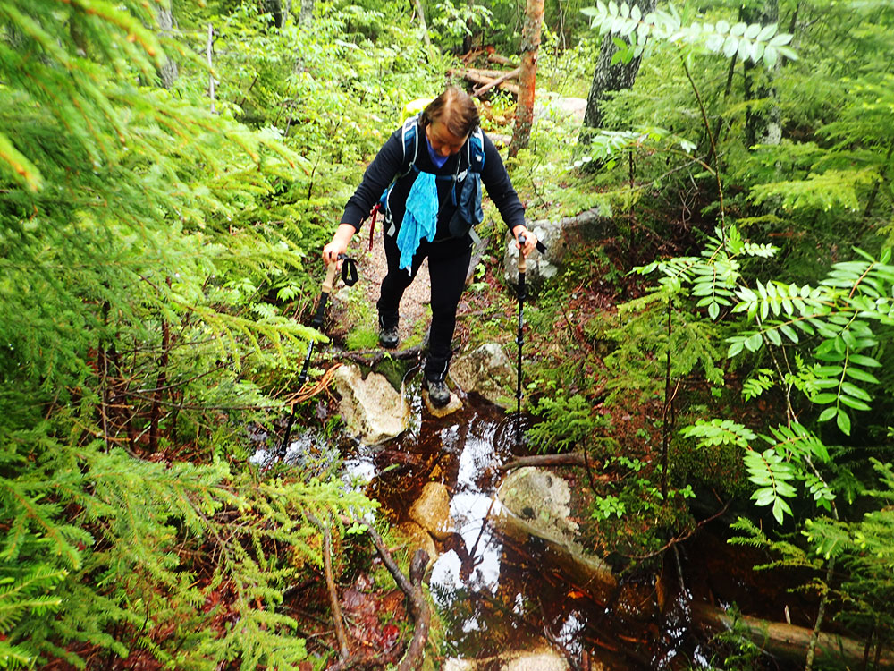 Nancy hiker navigating extremely wet trail