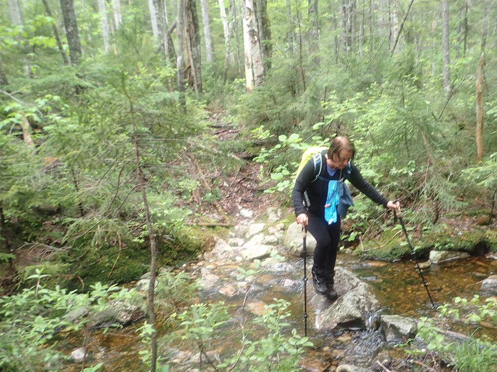 Nancy hiker on the trail