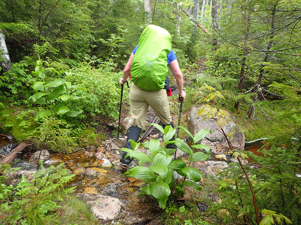Pat hiker on the Hancock Notch Trail