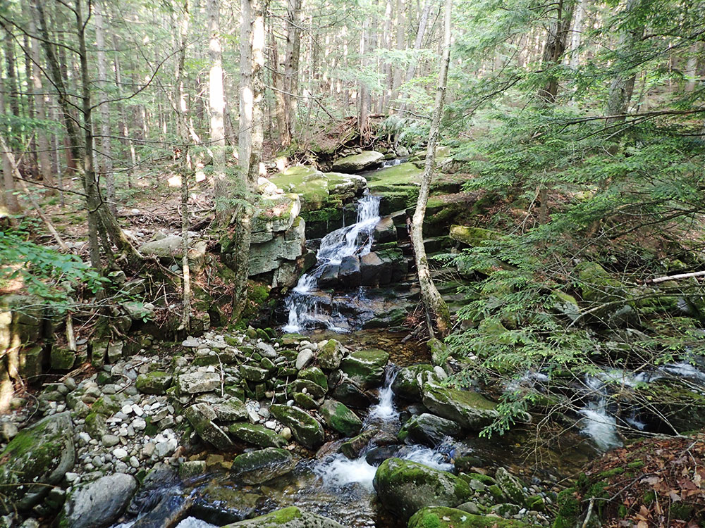 waterfall in shady area with stream flowing