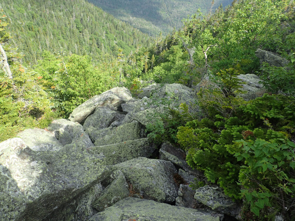 view at the top of the Chandler Brook Trail