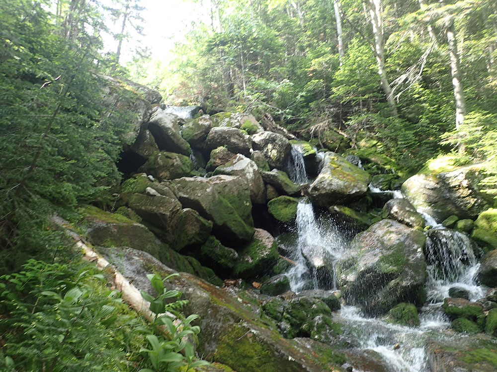 waterfall on dark, mossy boulders in mid-summer