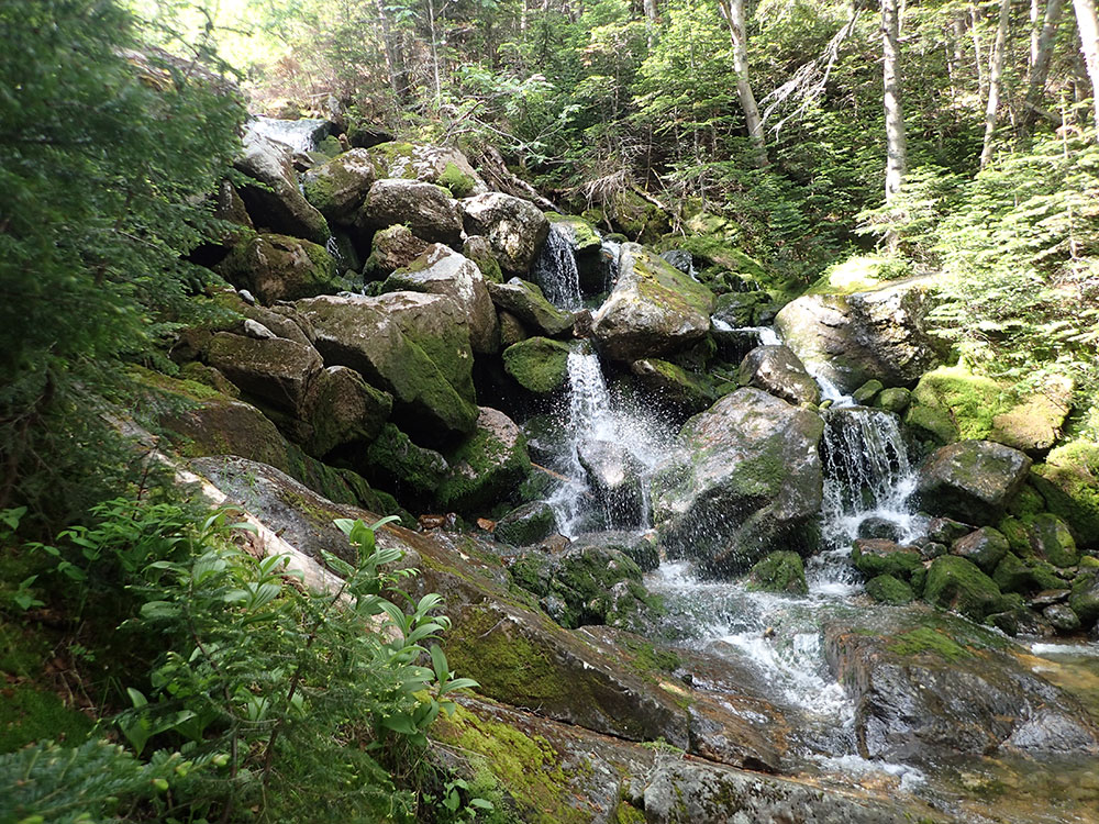 waterfall on mossy green boulders