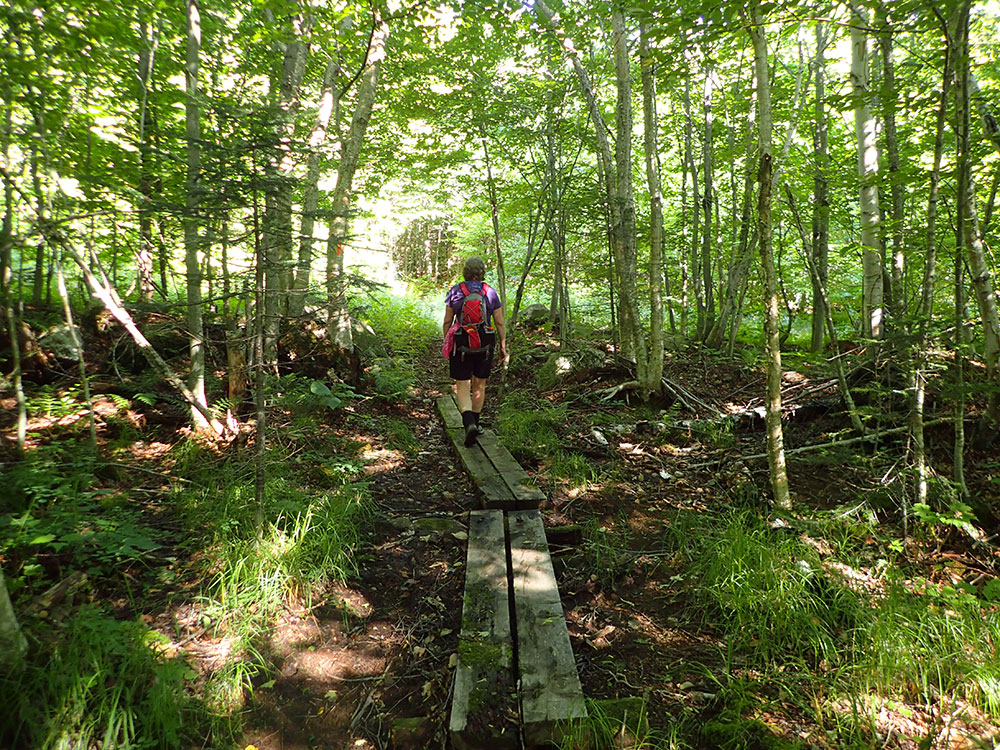 hiker on bog bridges on the Cook Path