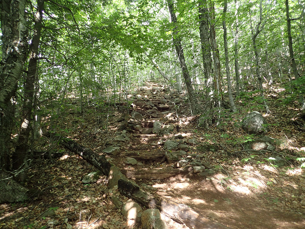 shaded summery trail