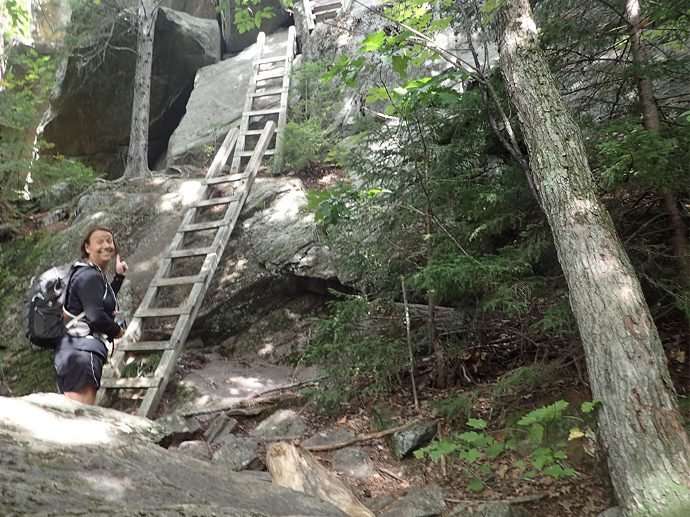 ladders leading upward on rock