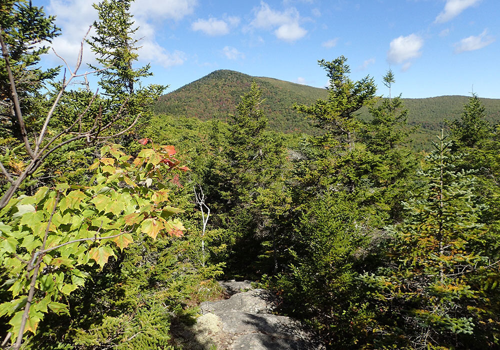 view of Mt. Shaw, NH