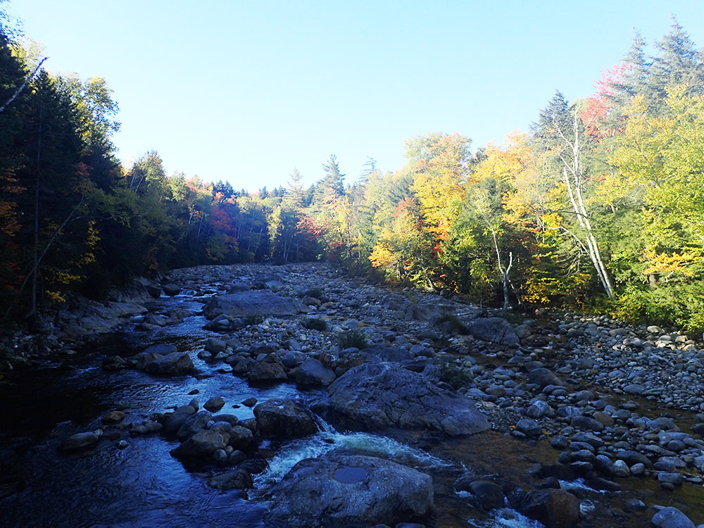 fall colors with mountain in center and stream flowing below