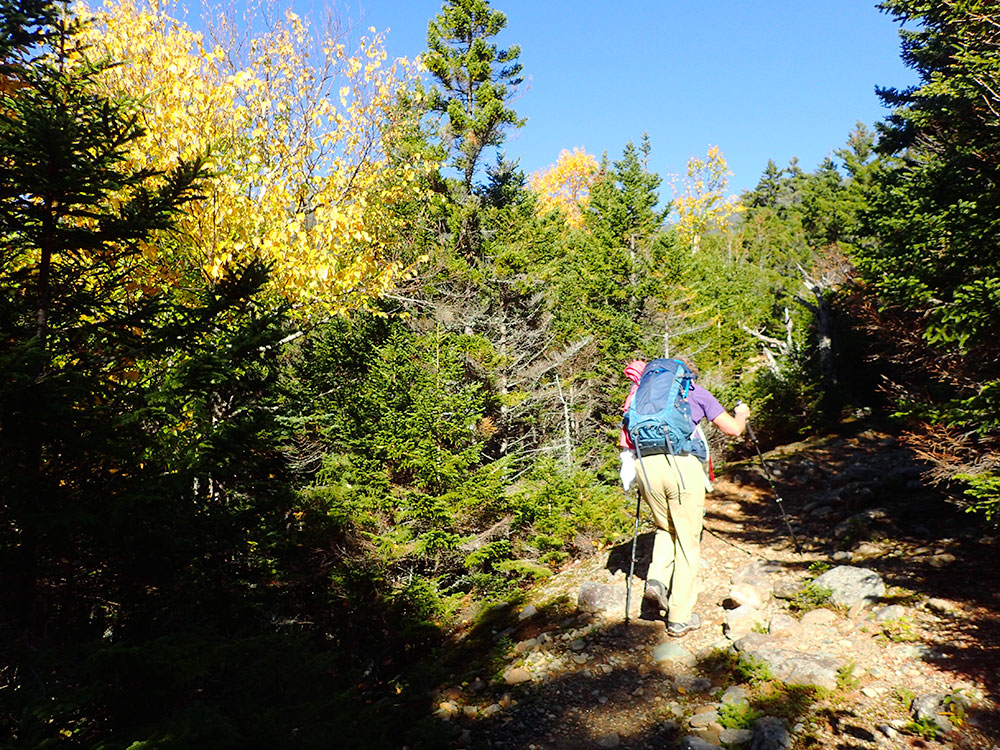 hiker on the Great Gulf Trail in fall