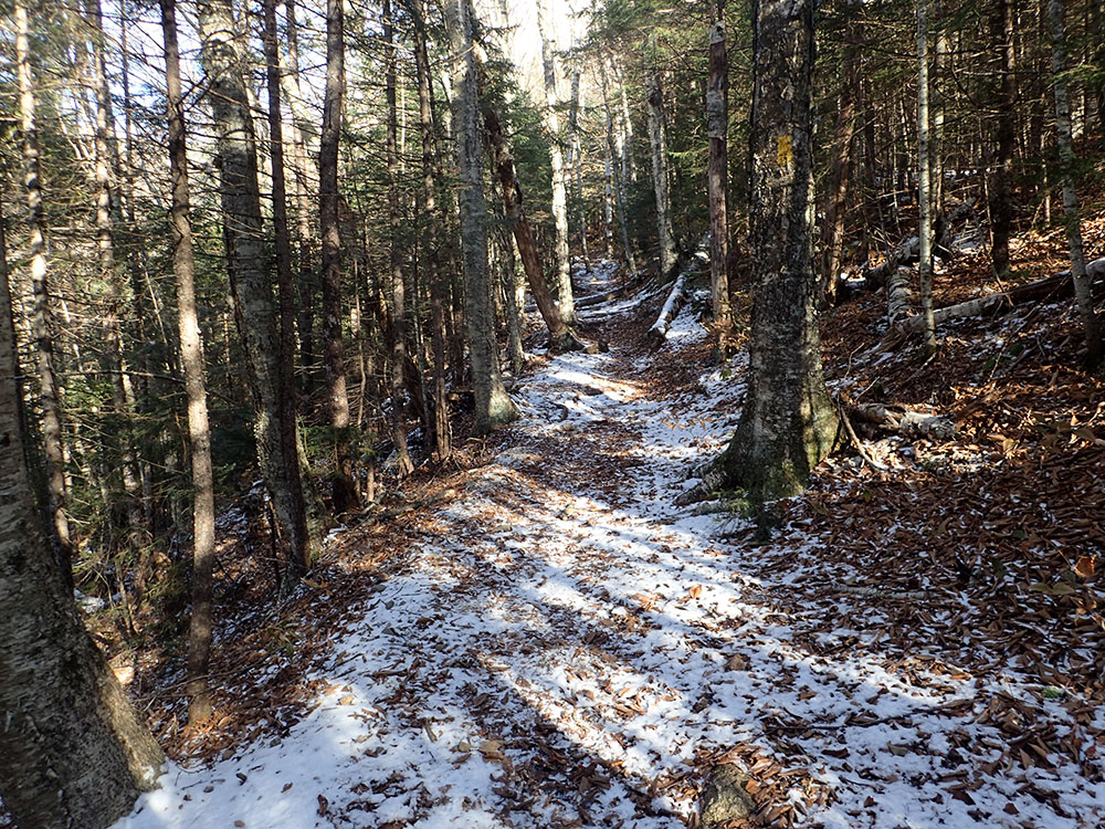 trail becoming snowy as we go higher