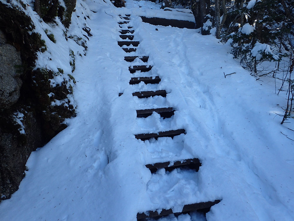 ladders in the snow aid hikers climbing this section of the Osseo Trail