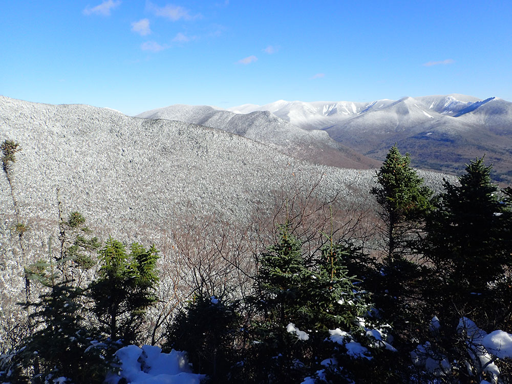 view of the southern presidentials in the White Mtn National Forest