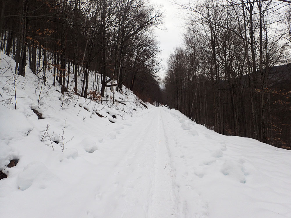 Frankenstein Trail snowy trail on old rail road bed