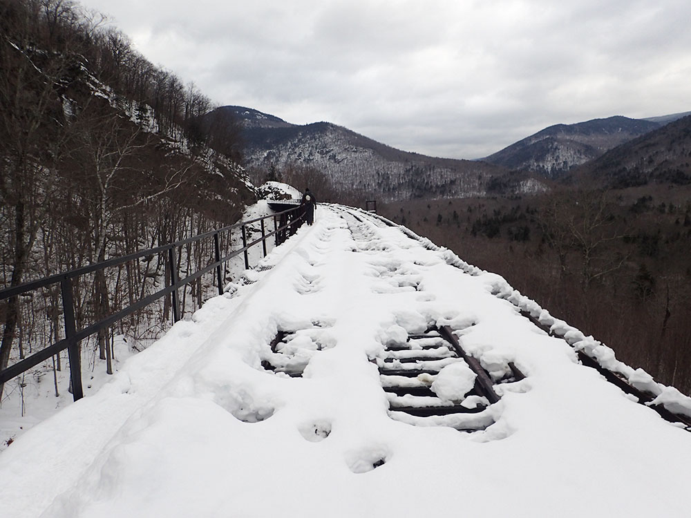 Looking across the trestle bridge looking across the Frankenstein Trestle bridge