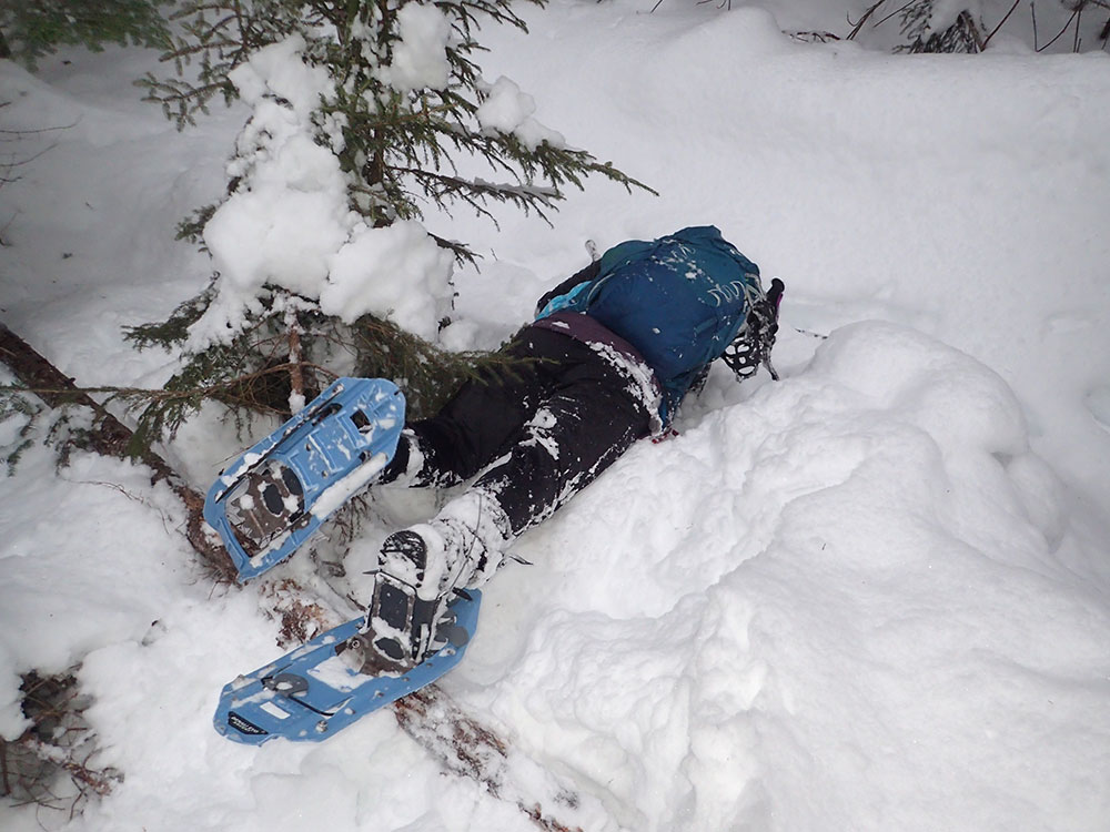 Nancy hiker doing a face plant when she tripped over a log