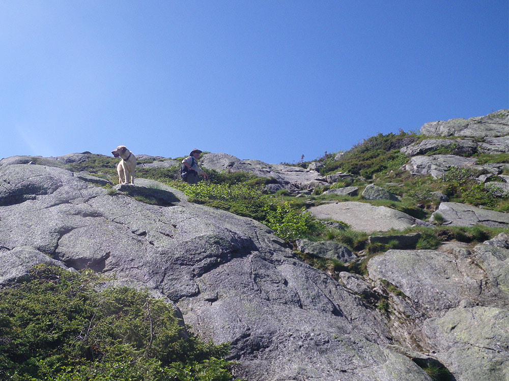 yellow lab on rocks high above the hiker taking the picture