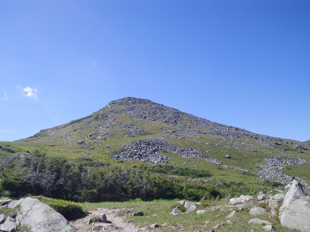 looking toward Mt Monroe