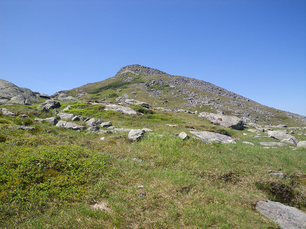 looking toward Mt Monroe
